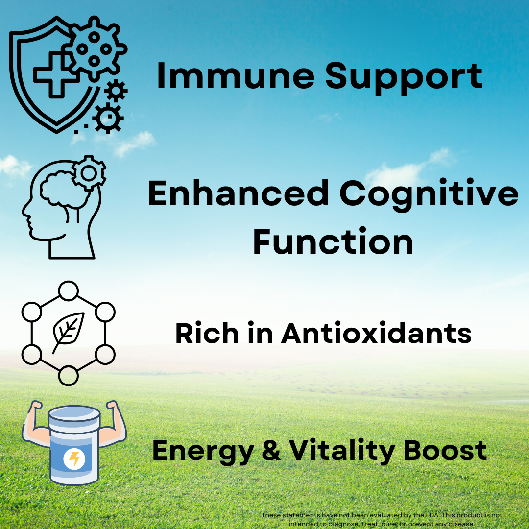 Organic Mushroom Immune Support - 9 Mushroom Blend Capsules