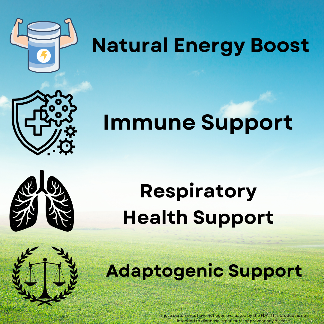 Organic Cordyceps Mushroom Capsules