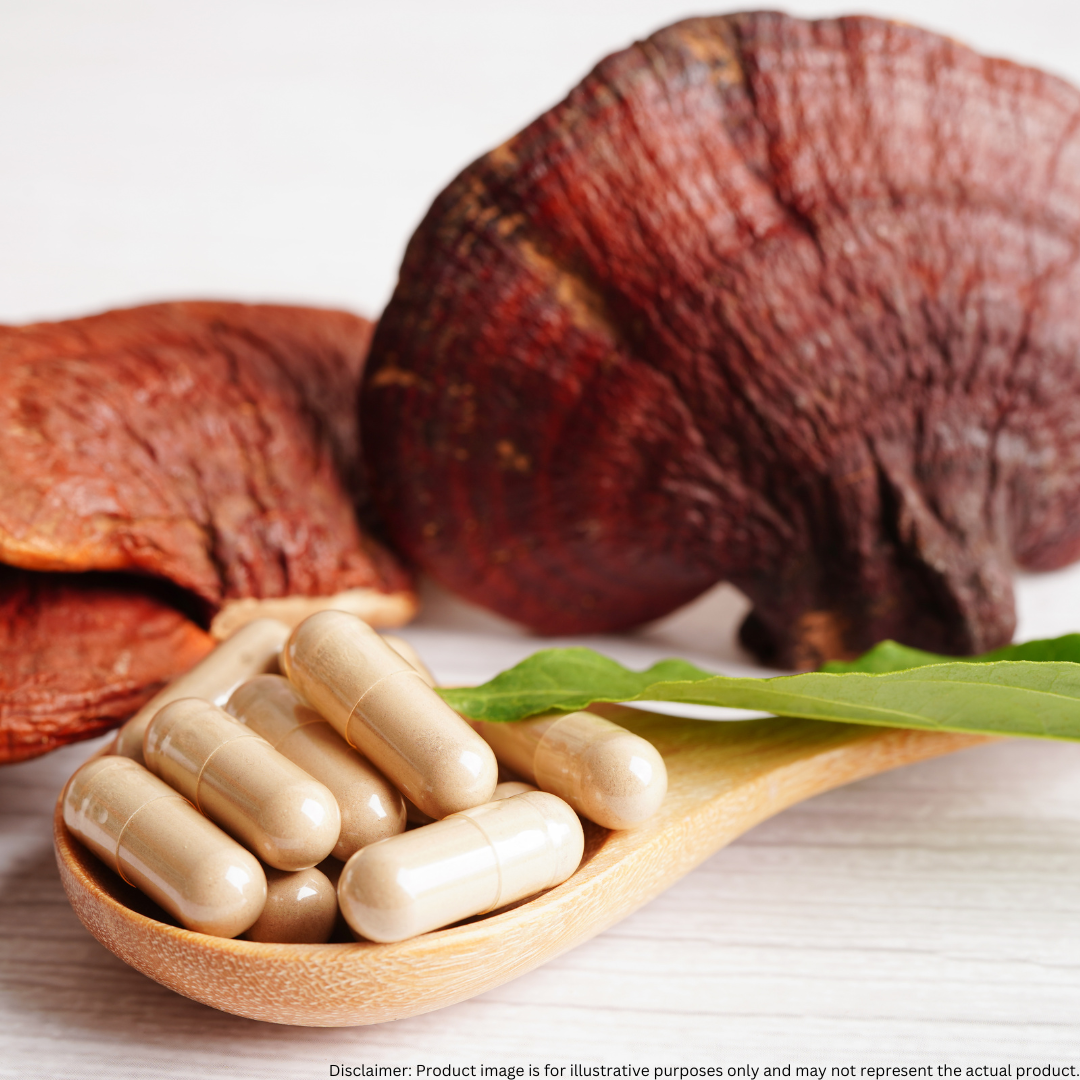 Organic Reishi Mushroom Capsules