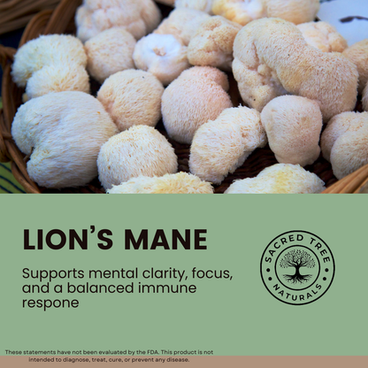 Brain & Body Wellness Bundle: Lion’s Mane and Reishi Mushroom Capsules