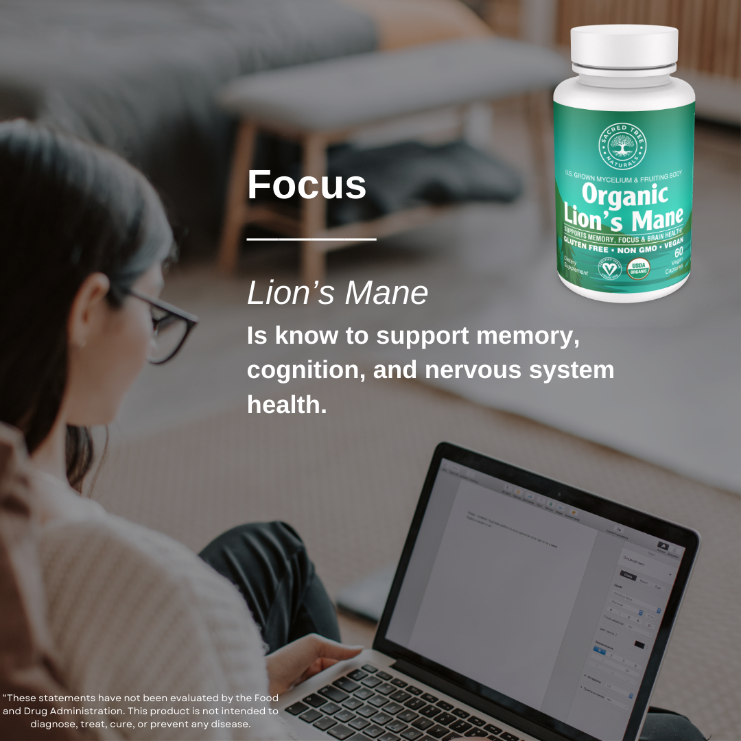 Brain & Body Wellness Bundle: Lion’s Mane and Reishi Mushroom Capsules