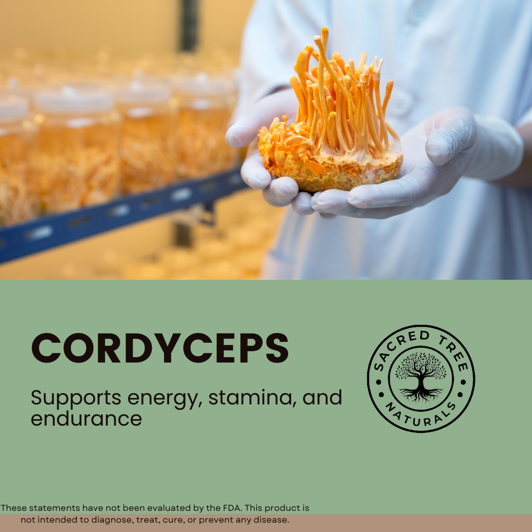 Organic Cordyceps Mushroom